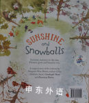 Sunshine and Snowballs