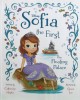 Disney Sofia the First the Floating Palace