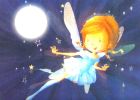 The Midnight Fairy