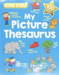 Gold Stars My First Picture Thesaurus Reference Book Emily Stead