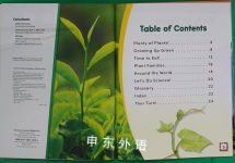 Inside a Plant (Science Readers: Content and Literacy)