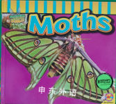 Moths (Fascinating Insects) Aaron Carr