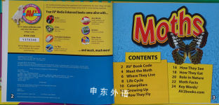 Moths (Fascinating Insects)