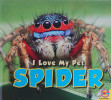 Spider (I Love my Pet)