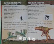 The World of Dinosaurs