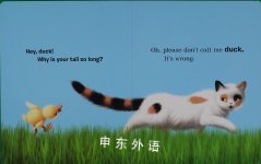 Hey, Duck! (Duck and Cat Tale)