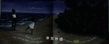 Fly Firefly