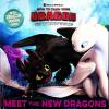 Meet the New Dragons