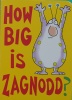 How Big Is Zagnodd?