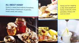 Lets Explore Honey