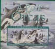 A Pod of Orcas