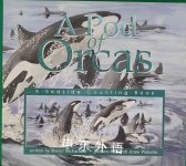 A Pod of Orcas Sheryl McFarlane