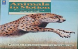 Animals in Motion: How Animals Swim, Jump, Slither and Glide (Animal Behavior)