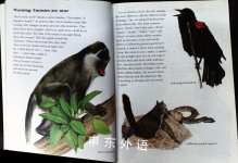 How Animals Communicate through Sight Sound and Smell