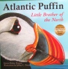 Atlantic Puffin - Little Brother of the North