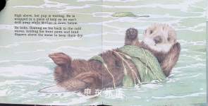 Sea Otter Pup