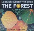 Looking Closely through the Forest