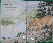 Looking at Wild Cats (Kids Can Read)