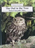 The Owl In The Tree