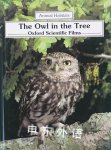 The Owl In The Tree Jennifer Coldrey