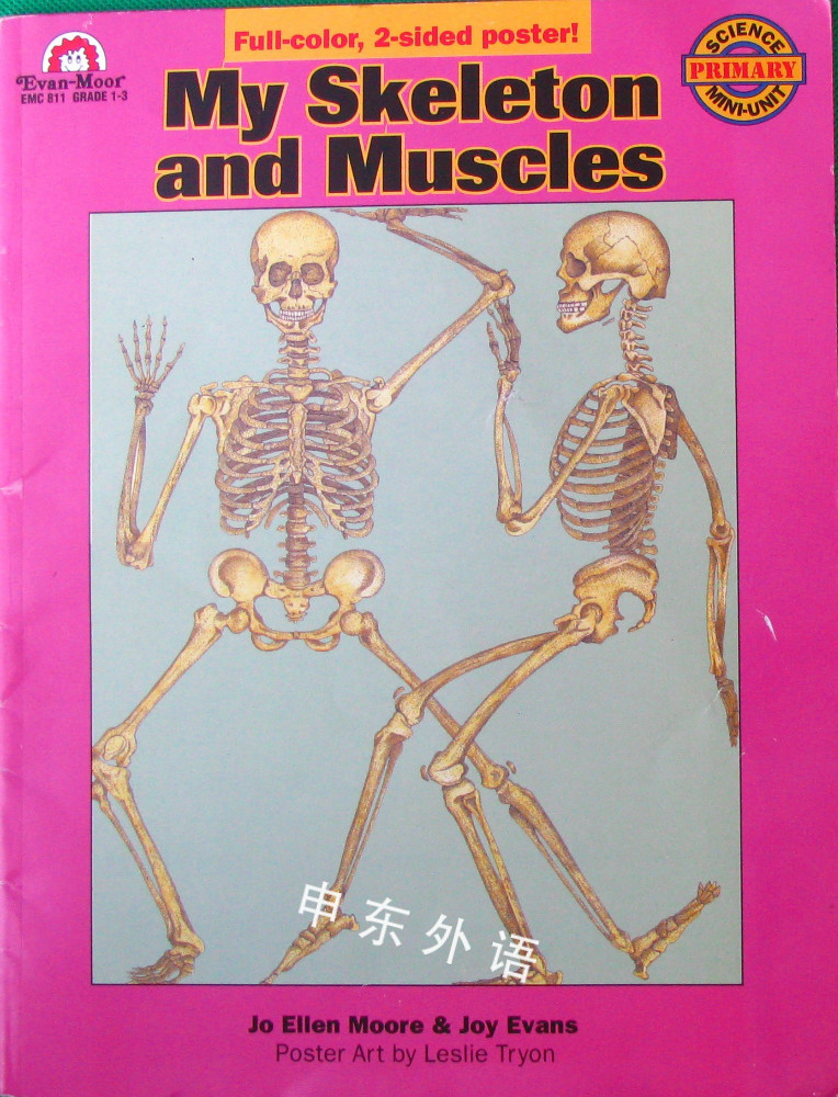 My Skeleton And Muscles 解剖及生理学 科学 自然与自然规律 儿童图书 进口图书 进口书 原版书 绘本书 英文 原版图书 儿童纸板书 外语图书 进口儿童书 原版儿童书