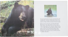 Bears for Kids Cocoa Table