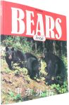 Bears for Kids Cocoa Table