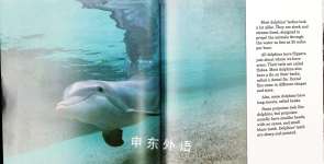 Dolphins