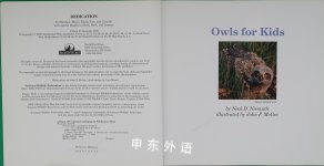 Owls for kids