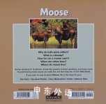 Moose (Our Wild World)