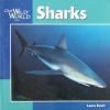 Sharks (Our Wild World)