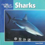 Sharks (Our Wild World) Laura Evert