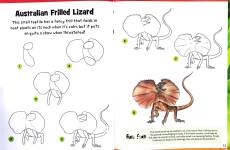 Reptiles  Amphibians