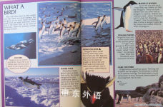 Penguins