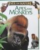 Apes and Monkeys Eyes on Nature