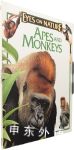 Apes and Monkeys Eyes on Nature