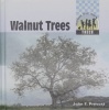 Walnut Trees 