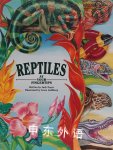 Reptiles At Your Fingertips (At Your Fingertips Series) Judy Nayer