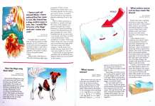 Do Cats Really Have Nine Lives And Other Questions About Your World