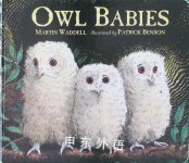 Owl Babies Martin Waddell