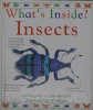 Insects (What's Inside?)