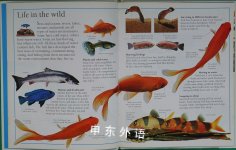 Fish (Aspca Pet Care Guides for Kids)
