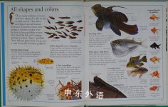 Fish (Aspca Pet Care Guides for Kids)