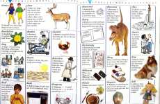 My First Dictionary