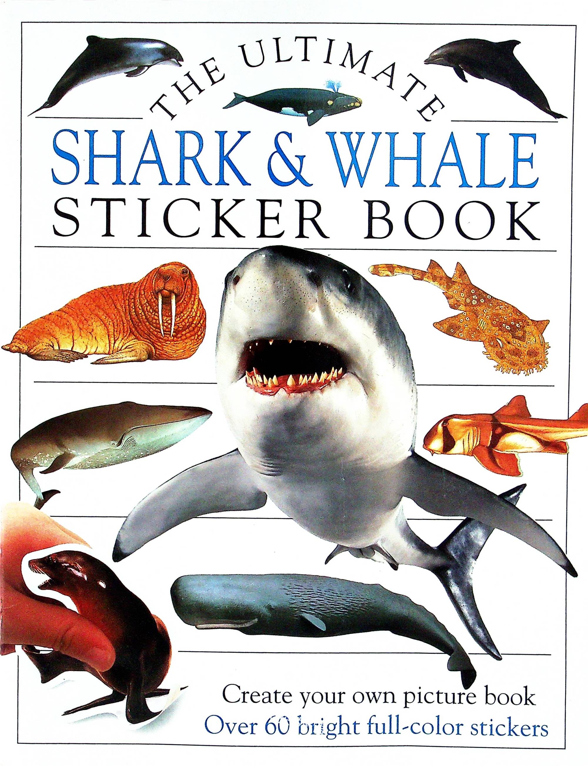 Shark and Whale_动物_儿童图书_进口图书_进口书,原版书,绘本书,英文原版图书,儿童纸板书,外语图书,进口儿童书,原版儿童书