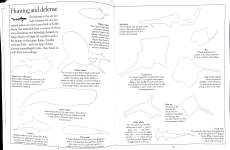 The Ultimate Shark  Whale Sticker Book