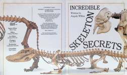 Incredible Skeleton Secrets