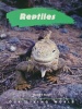 Reptiles Our Living World