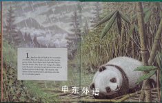 Bamboo Valley: A Story of a Chinese Bamboo Forest (The Nature Conservancy Habitat)