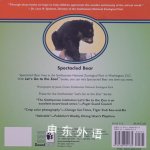 Bear on his Own